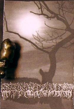 Sightless : Watcher in the Nightsky Sightless : Watcher in the Nightsky